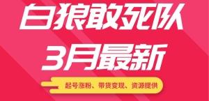 白狼敢死队最新短视频带货教程（起号涨粉、带货变现、资源