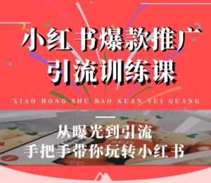 狼叔小红书爆款推广引流最新教程 从曝光到引流，手把手带你玩转小红书