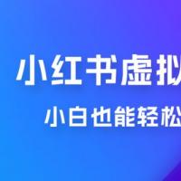 小红书虚拟资料掘金，日入 300+ 小白也能轻松上手的蓝海项目