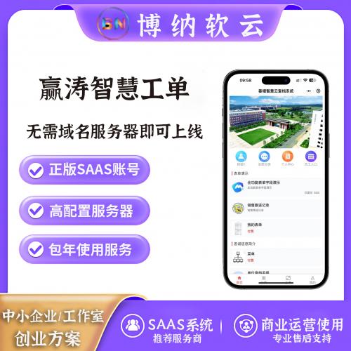 赢涛智慧工单系统 独立版 全插件 SAAS账号